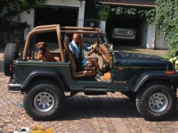 makakadi_hunde_im _jeep_13__1377